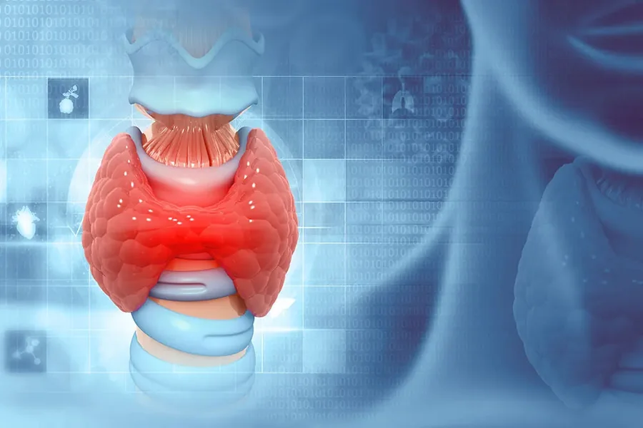 Thyroid