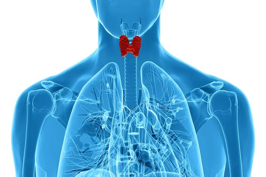 Central Hypothyroidism: A Rare Thyroid Disorder