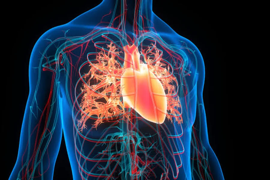 Congestive Heart Failure and Leg Cramps: Causes and Relief