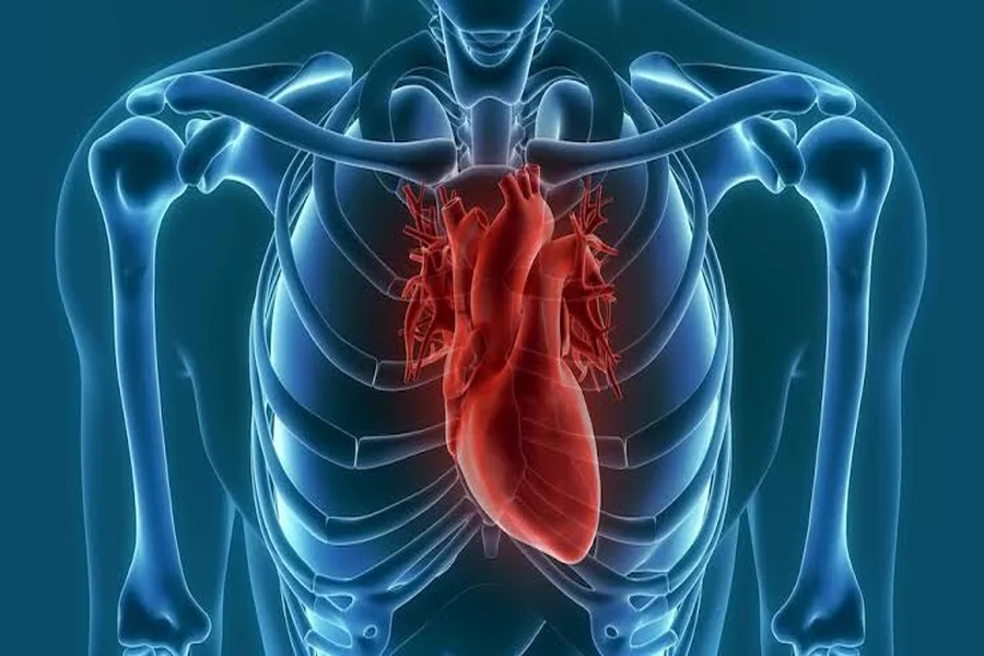 End Stage Congestive Heart Failure: What You Need to Know