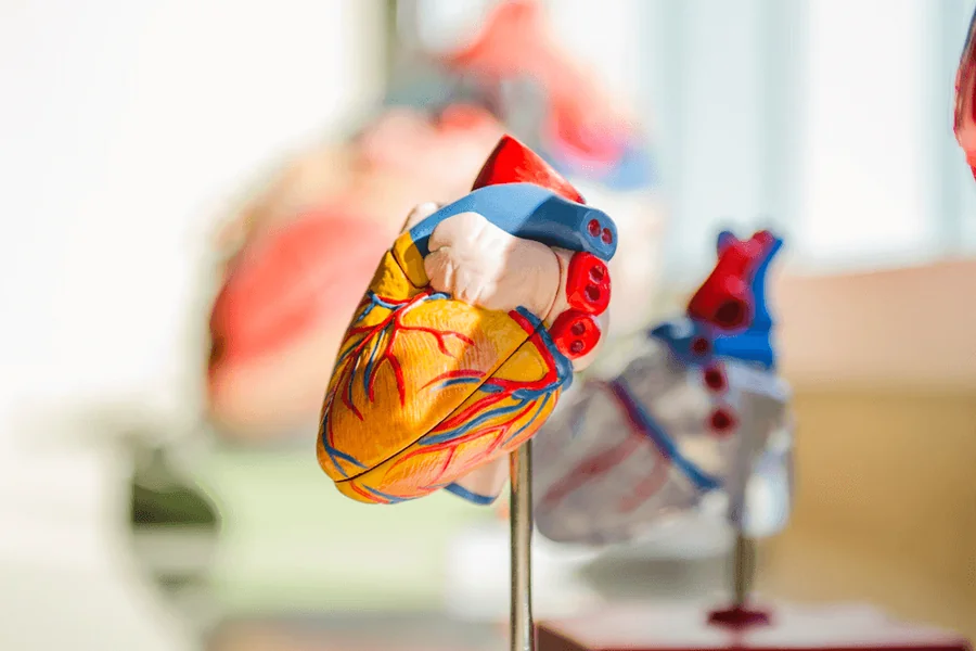World Heart Day 2024: Importance, Involvement, and Supporting Heart Health