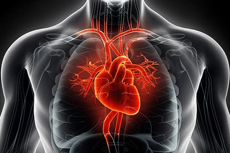 Is Congestive Heart Failure Reversible?