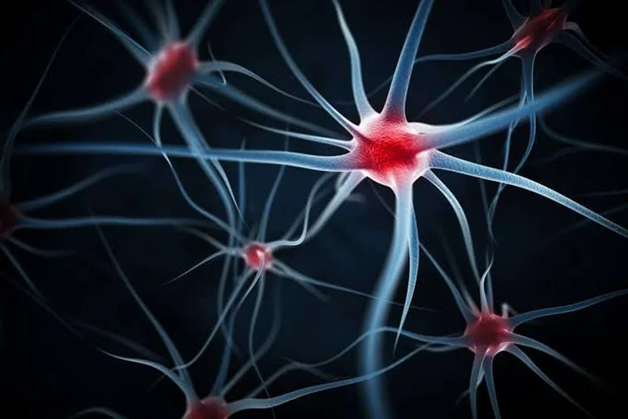 Insights into VA Rating for Peripheral Neuropathy