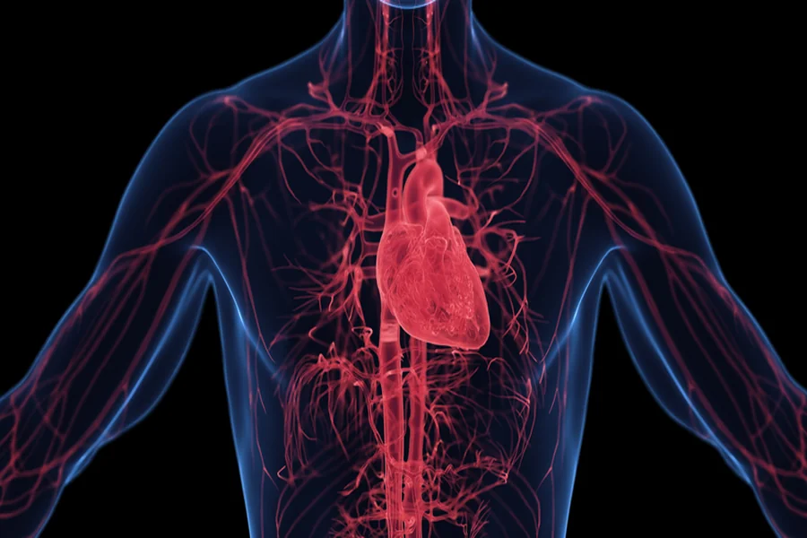 Understanding Systemic Vascular Resistance: A Guide To Staying Afloat