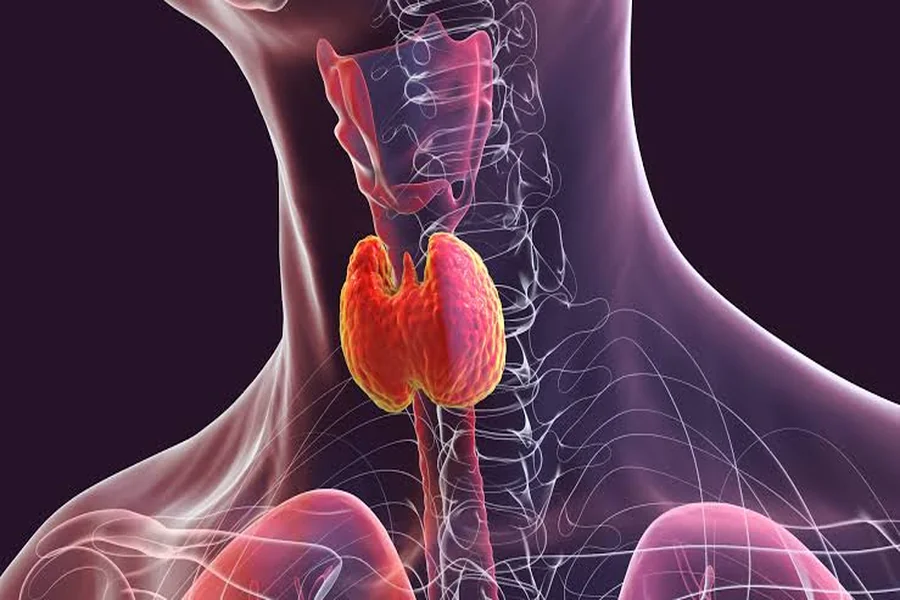 Thyroid Isthmus Disease: Decoding The Mysteries