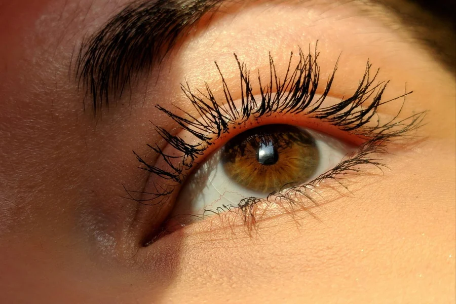 Natural Lashes 