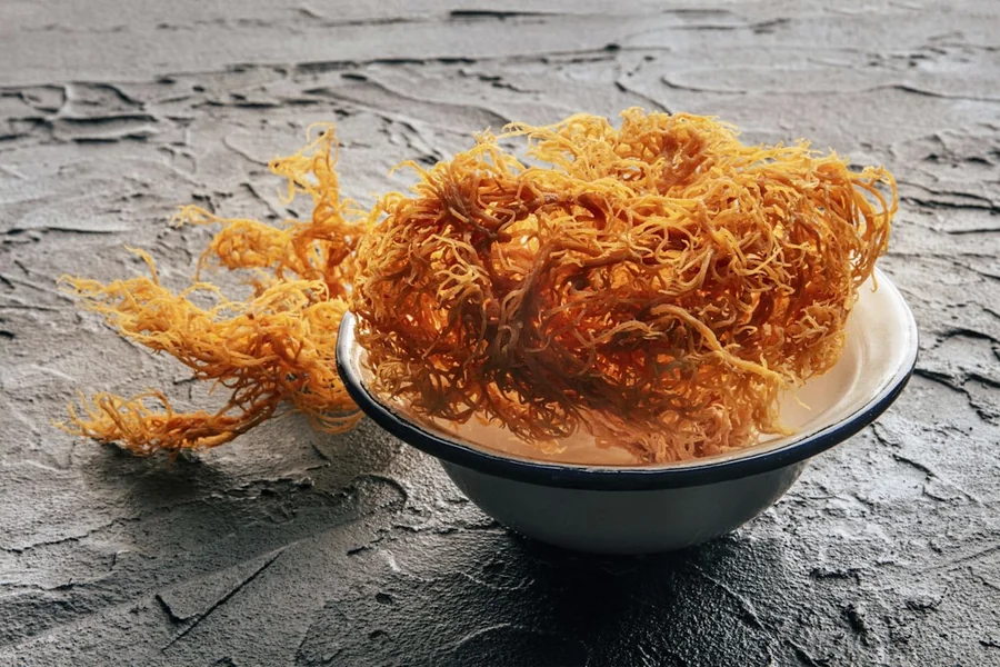 Sea Moss